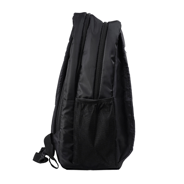 1st image description